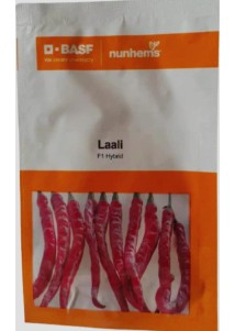 Laali F1 Hy Chilli Nunhems 